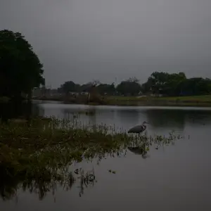 Heavy Rain Pounds Central Texas, Forcing a Halt to Search Efforts