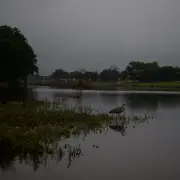 Heavy Rain Pounds Central Texas, Forcing a Halt to Search Efforts